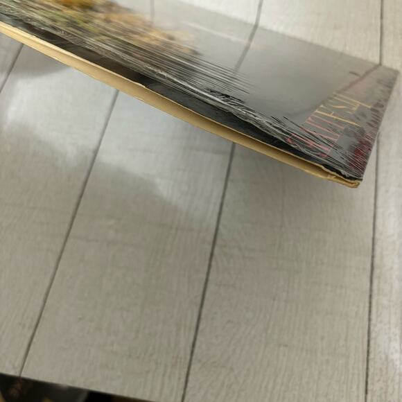 Jerry Goodman It’s Alive Vinyl Record - Picture 7 of 11